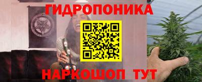 сатива Абакан
