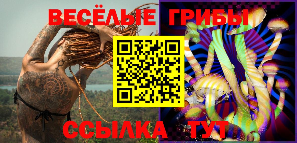 Галлюциногенные грибы мицелий  Вход с VPN  Иркутск 